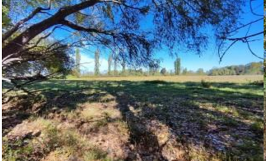 Agrícola en Venta en Palma Rosa