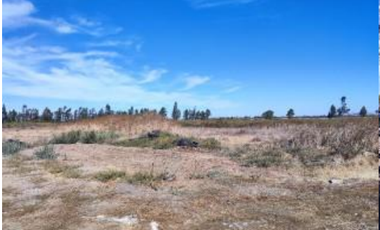 Agrícola en Venta en Palma Rosa