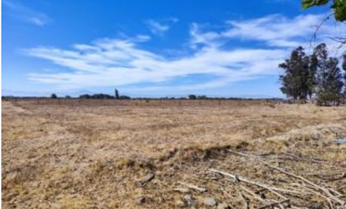 Agrícola en Venta en Palma Rosa