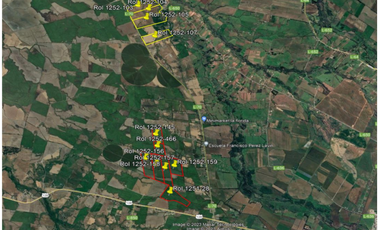 Agrícola en Venta en Palma Rosa