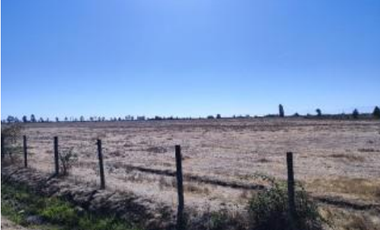 Agrícola en Venta en Palma Rosa