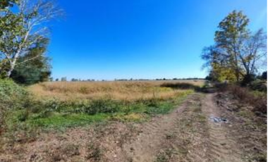Agrícola en Venta en Palma Rosa