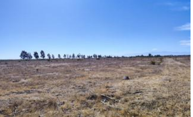 Agrícola en Venta en Palma Rosa