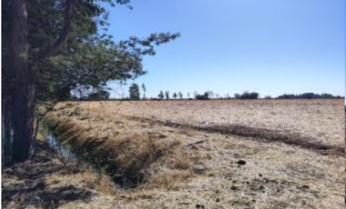Agrícola en Venta en Palma Rosa
