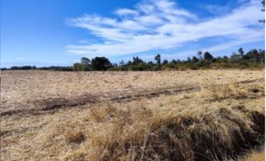 Agrícola en Venta en Palma Rosa
