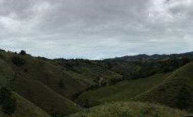 FINCA DE TRABAJO PARA VENTA EN ABEJORRAL