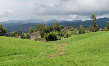FINCA DE TRABAJO PARA VENTA EN ABEJORRAL