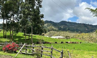 FINCA DE TRABAJO PARA VENTA EN ABEJORRAL