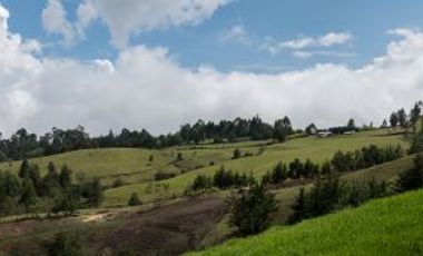 FINCA DE TRABAJO PARA VENTA EN ABEJORRAL