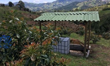 FINCA DE TRABAJO PARA VENTA EN ABEJORRAL