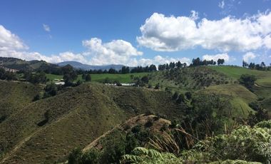 FINCA DE TRABAJO PARA VENTA EN ABEJORRAL