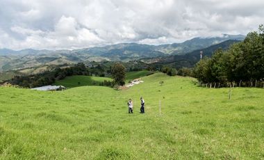 FINCA DE TRABAJO PARA VENTA EN ABEJORRAL