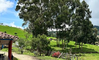 FINCA DE TRABAJO PARA VENTA EN ABEJORRAL