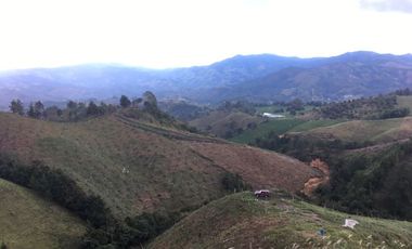 FINCA DE TRABAJO PARA VENTA EN ABEJORRAL