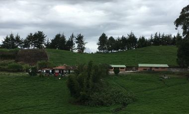 FINCA DE TRABAJO PARA VENTA EN ABEJORRAL