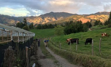 FINCA DE TRABAJO PARA VENTA EN ABEJORRAL