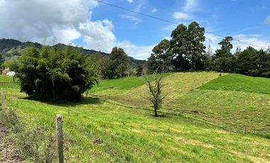 FINCA DE TRABAJO PARA VENTA EN ABEJORRAL