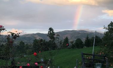 FINCA DE TRABAJO PARA VENTA EN ABEJORRAL