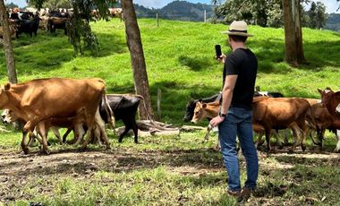 FINCA DE TRABAJO PARA VENTA EN ABEJORRAL