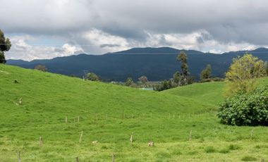 FINCA DE TRABAJO PARA VENTA EN ABEJORRAL