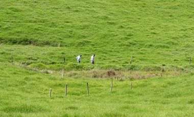 FINCA DE TRABAJO PARA VENTA EN ABEJORRAL