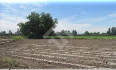 Parcela en Venta en La Primavera