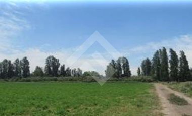 Parcela en Venta en La Primavera