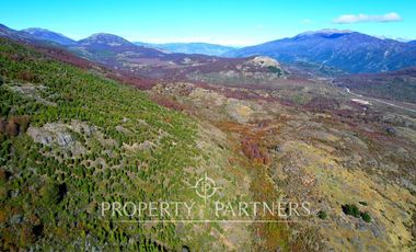 Patagonia, campo 478has Puerto Bertrand