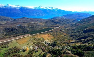 Patagonia, campo 478has Puerto Bertrand