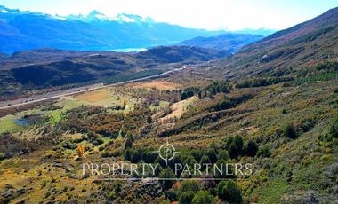Patagonia, campo 478has Puerto Bertrand