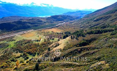 Patagonia, campo 478has Puerto Bertrand