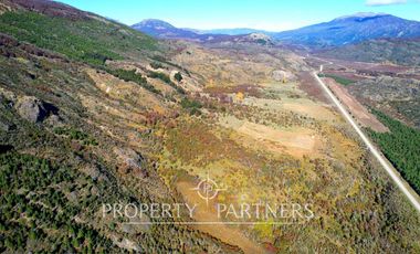 Patagonia, campo 478has Puerto Bertrand