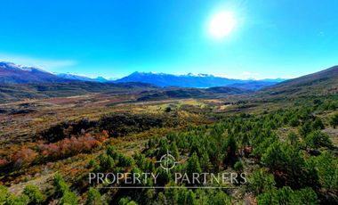 Patagonia, campo 478has Puerto Bertrand