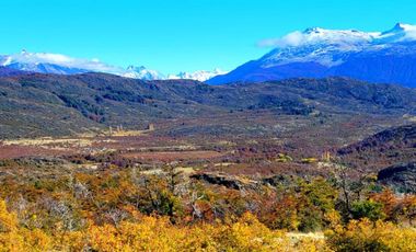 Patagonia, campo 478has Puerto Bertrand