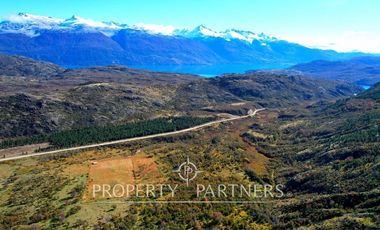 Patagonia, campo 478has Puerto Bertrand