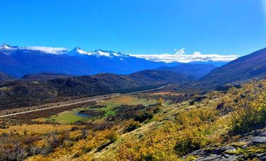 Patagonia, campo 478has Puerto Bertrand