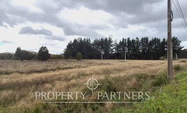 Terreno Orilla Ruta Valdivia-Paillaco, Ideal Proyectos Industriales