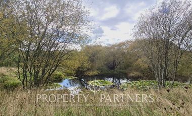 Terreno Orilla Ruta Valdivia-Paillaco, Ideal Proyectos Industriales