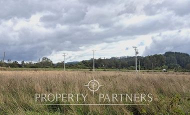 Terreno Orilla Ruta Valdivia-Paillaco, Ideal Proyectos Industriales