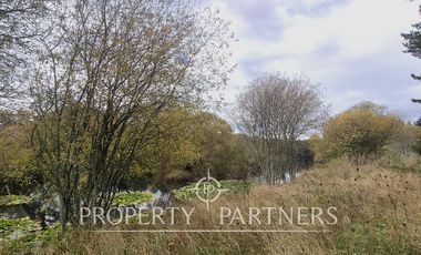 Terreno Orilla Ruta Valdivia-Paillaco, Ideal Proyectos Industriales