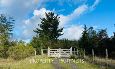 Lindo Campo en la puntilla del Caunahue