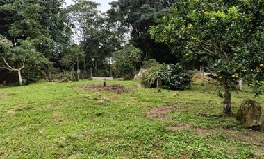 VENTA de CASAS en MESITAS