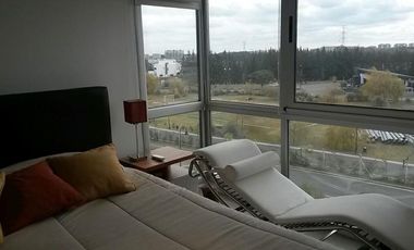 Hermoso 3 ambientes en alquiler