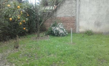 Casa - Longchamps