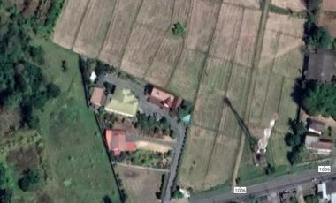 Land for sale in Sai Mun, Chiang Mai