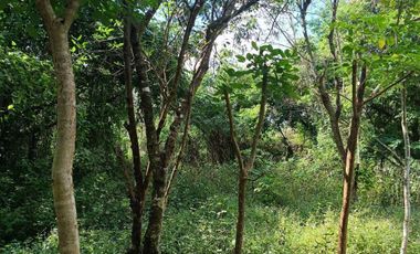 Terreno en Venta en Ticopó, Acanceh, Yucatán - HI2501340