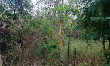 Terreno en Venta en Ticopó, Acanceh, Yucatán - HI2501340