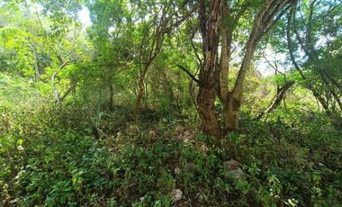 Terreno en Venta en Ticopó, Acanceh, Yucatán - HI2501340