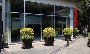 Local en Renta en Polanco