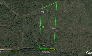 Terreno en venta Mérida Yucatán, Conkal (2.6 hectáreas)